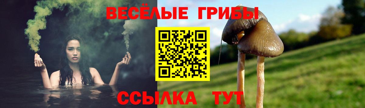 Псилоцибиновые грибы ЛСД  Вход с VPN  Можайск  Галлюциногенные грибы Psilocybine cubensis 